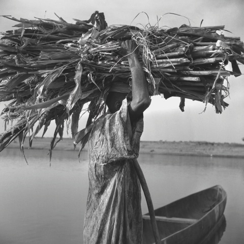 Au long du fleuve Sénégal – Image 2