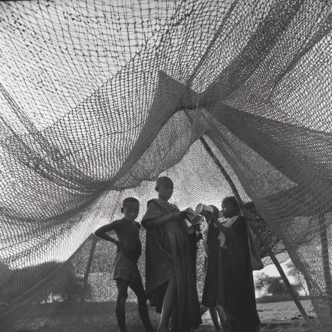 Au long du fleuve Sénégal – Image 3