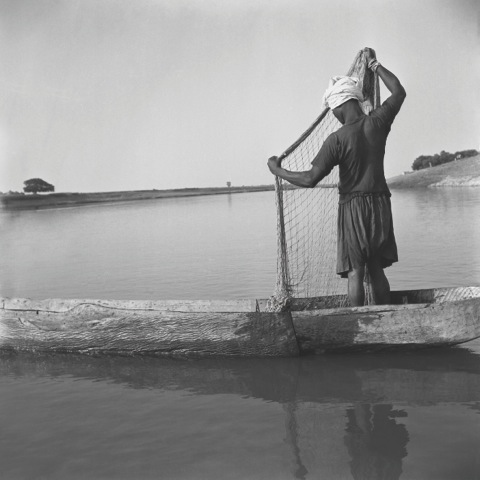 Au long du fleuve Sénégal – Image 4