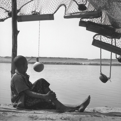 Au long du fleuve Sénégal – Image 5