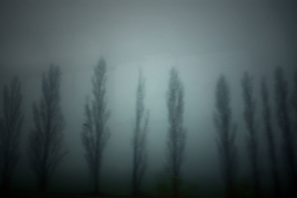 Tout sera comme avant – Image 5