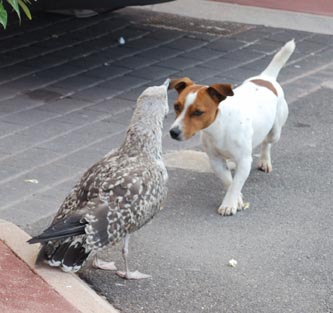 Cette ville – Image 5