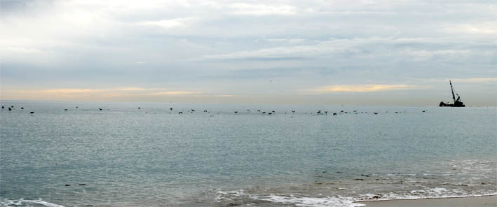 Cette ville – Image 6